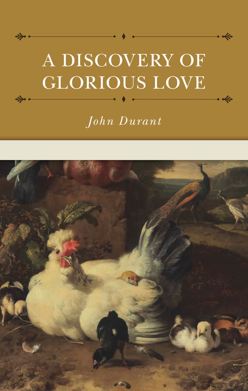 Cover of A Discovery of Glorious Love