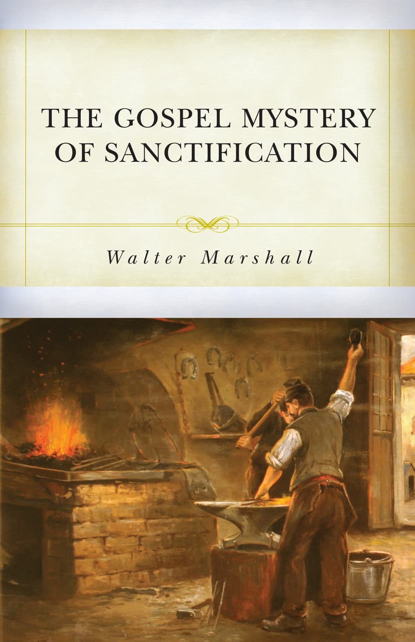 Cover of The Gospel Mystery of Sanctification
