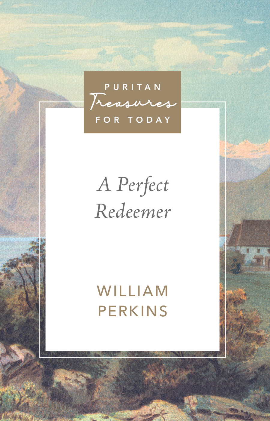 Cover of A Perfect Redeemer