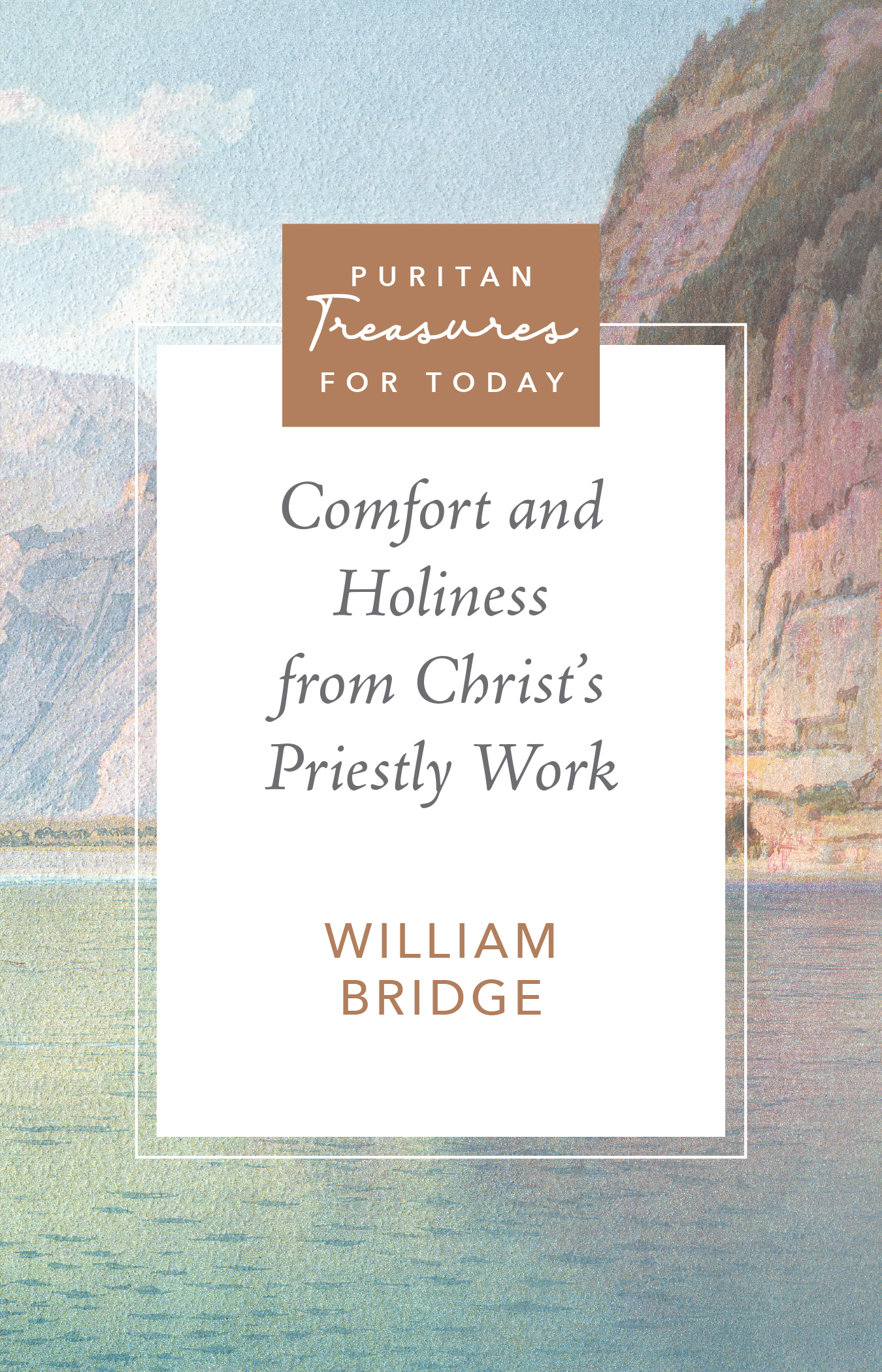 Cover of Comfort and Holiness from Christ's Priestly Work