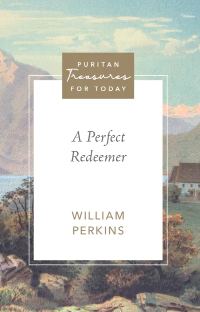 Cover of A Perfect Redeemer