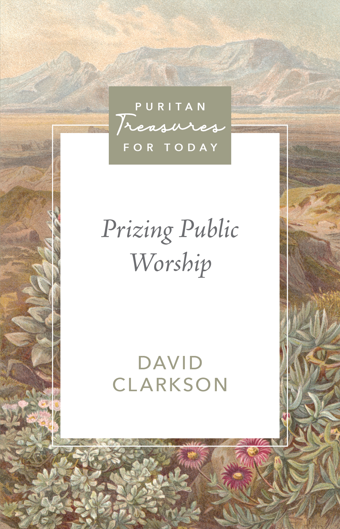 Cover of Prizing Public Worship