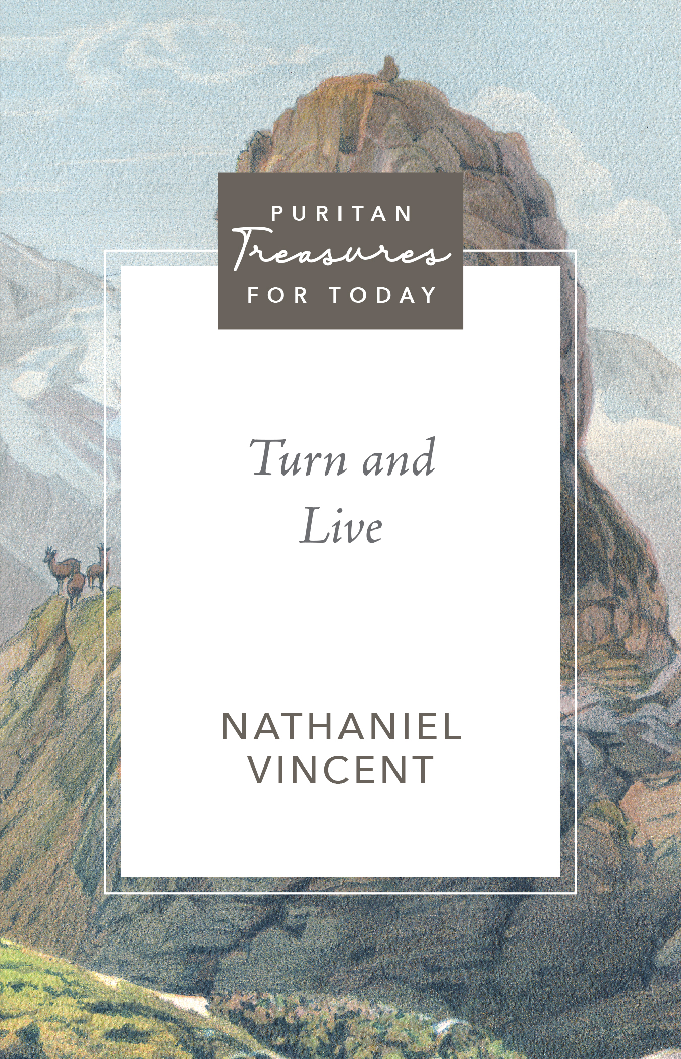 Cover of Turn and Live